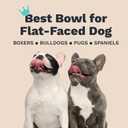 Enhanced Pet Bowl – Slanted Stainless Steel Dog Bowl for Breeds Like Bulldogs, Pugs – Raised Back, No-Spill, Reduces Gas & Mess – Medium Size, Non-Slip, Food-Grade - Does Not Ship from China