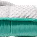 ALANSMA Reversible Weighted Blanket for All Season, Luxury Velvet, Warm and Cool, Adult 20Lb Green Weighted Blanket, Enjoy Sleeping Anywhere(Light Green,60"x80" 20lbs)