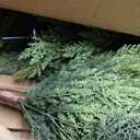 3FT Artificial Cedar Topiary Trees Set of 2, Real Touch & Dual-Tone Faux Cypress with Ground Spike, UV Resistant Realistic Fake Evergreen Shrubs for Indoor Outdoor Garden, Porch, Office Decor