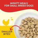Stella & Chewy's Lil’ Bites for Small Breed Dogs – Chicken Little Recipe – Protein Rich, Grain Free Dog & Puppy Treat – Great Meal or Snack for Training & Rewarding – 7 oz (EXP 08/12/27)
