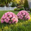 Suncalla Pink 2 Set Artificial Boxwood Topiary Ball Trees with Hydrangea Flower, 19.7" UV Resistant Outdoor Faux Plants with Ground Spike for Planter Front Door Home Indoor Porch Patio Decor