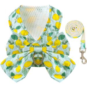 BAEJMJK Dog Harness and Leash Set with Bow Knot No Pull Pet Daisy Floral Harness with D-Ring Soft Mesh Dog Harness Vest Set Escape Proof Princess Puppy Harness for Small Girl Dogs CatsGreen XS