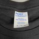 Sweet Vintage Retro Chicago City Flag Bear Print T-Shirt