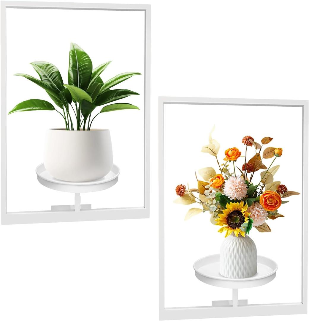 Picture Frame Plant Holder, White Wall Plants Hanger Indoor and Outdoor, Wall-Mounted Metal Hanging Planters Decor Rack, Modern Window Potted Stand Shelves for Living Room Balcony Patio (2Pcs)