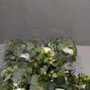 SHENLIU 4 Pack 26Ft Artificial Eucalyptus Flower Garland with White Roses, Faux Rose Vine Gypsophila Greenery Garland Floral Vines for Wedding Home Party Table Decor