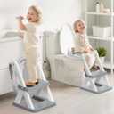 Potty Training Seat with Step Stool Ladder, SKYROKU Potty Training Toilet for Kids Boys Girls Toddlers - Comfortable Safe Potty Seat with Anti-Slip Pads Ladder Grey