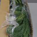 6 FT Christmas Garland Real Touch Norfolk Pine Garland Realistic, Christmas Faux Cedar Garland with Lights for Mantle Table Front Door Indoor Outdoor Holiday Christmas Decor