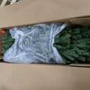 National Tree Company 7.5 ft Pre-Lit Jersey Fraser Fir Artificial Christmas Tree, 1,250 Clear Lights, 3,144 Tips, Includes Stand, Green