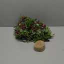 Zeyune 6 Set Christmas Wreaths Garland Kitchen Cabinet Wreath 9 Inch Mini Faux Windows with Burlap Ribbon Artificial Green Farmhouse for Front Door Porch Wall Decor(Eucalyptus)