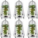 (6 Packs) 13" D x 20" H Garden Cloches for Plants, Chicken Wire Cloche, Plant Cloche and Cage, Wire Plant Protector, Protection for Your Plants and Seedlings - Black