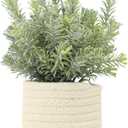Hopewood Small Artificial Plants Eucalyptus with a Weave Basket Potted Plants for Home Office Desk Farmhouse Indoor Decor