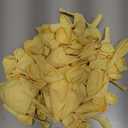 Pastel Yellow Balloons 145pcs Different Sizes 18 12 10 5 Inches Light Yellow Latex Balloon Garland Arch for Birthday Baby Shower Wedding Anniversary Graduation Party Decorations