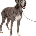 PetSafe Gentle Leader No-Pull Dog Headcollar - The Ultimate Solution to Pulling - Redirects Your Dog's Pulling for Easier Walks - Helps You Regain Control - X-Large, Black