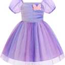 Toddler Girls Birthday Party Dress Sparkly Mesh Embroidery Tutu Dress Cake Crush Formal Dresses Purple 18-24 Months