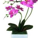 15" Tall Artificial Silk Phalaenopsis Orchid Flower Plant Pot Arrangements (Dark Blue-Purple)