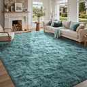 5x7 Rug for Living Room Teal Shag Area Rugs, Modern Plush Non-Slip Soft Carpets for Bedroom Kids Nursery Dorm Daycare Floor