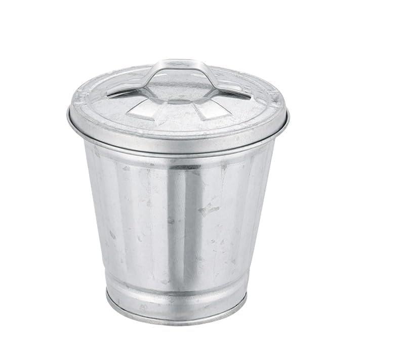 aoukoslt Silver Mini Galvanized Trash Can with Lid, Metal Buckets with Lids, Wastebasket Trash Can, Metal Rubbish Bin, Tabletop Can, Flower Pot Pen Holder Trash, Waste Receptacles and Liners
