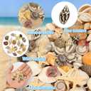 25 Types Small Sea Shells for Crafts, 1800 Pcs Tiny Seashells with Mixed Size Starfish for Crafting Spiral Conch Shells for Crafts Charms for Home Decorations Candle Decor DIY and Beach Vase Filler