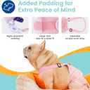 Avont 3 Pack Frenchie Dog Diapers Female, Washable Reusable Girl Doggie Pants for Period Heat Cycle, Full Body Cover Onesie with Adjustable Straps -Pink/Purple/Blue M
