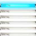 Celiwace 6 Pack UVA-BL T5 6W 32050 F6T5/BL Replacement Bulb Fluorescent Light Tube 6 watt for DynaTrap DT2000XL,DT2000XLP and DT3012, 9 Inches