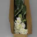 Artificial Geranium Fake Flowers for Outdoors Decoration, 6 Bundles Silk Geraniums White Flower UV Resistant Look Real Faux Plants for Front Door Garden Porch Planter Patio Balcony Yard Indoor Home