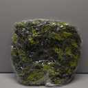 Natural Preserved Moss Wreath for Front Door or Wall, Green, Handmade 16 inch