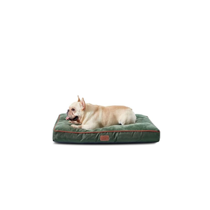 Bedsure Washable Dog Bed Medium Size Dog - 3 Inch Thicken Up to 45lbs Pet Mat Pillows with Removable Washable Cover, Green