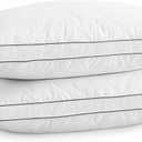 Down Pillow Hotel Quality with Feather Fill 750 Fill Power Standard Size - 2 Pack with Pillowcase for Master Bedroom Support for Back Side Stomach Sleepers 1200T