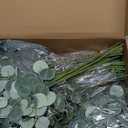 120 Pcs 4 Kinds Mixed Artificial Eucalyptus Leaves Stems Bulk Fake Silver Dollar Eucalyptus Bundle Faux Plants Greenery for DIY Bouquets Floral Arrangement Wedding Engagement Party Decor (Green)