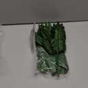 Sggvecsy 34 Pieces 6 Kinds Artificial Tropical Palm Leaves Tropical Leaves Monstera Leaves Safari Jungle Leaf with Stems for Hawaiian Luau Party Beach Table Wedding Shower Birthday Theme Decorations