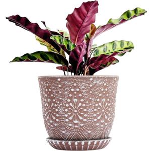 Gepege 8 Inch Plant Pot for Plants, Ceramic Planter with Drainage Holes and Saucers for Indoor Plants Large Flower Pot (Clay+white)