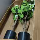 Romantic Season 2Pack Artificial Camellia Tree 3FT, White Faux Camellia Plant Fake Potted Camellia Flower Tree Plastic Camellia Tree for Modern Home Office Living Room Floor Dcor Indoor