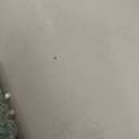 Tall Faux Cactus Plant62in Realistic Texture Tall Fake Plant, Artificial Cactus Large with White Planter Indoor Outdoor for Home Office Living Room Bedroom Foyer Porch Decor. (60in with basic plastic black planter)