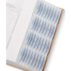 Mr. Pen- Bible Tabs, 75 Tabs, Translucent Dusty Blue Laminated Bible Tabs for Women and Men, Bible Tabs for Study Bible Index Tabs, Bible Labels Tabs, Mr Pen Bible Tabs for Women Study Bible