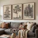 Framed Large Vintage Wall Art for Living Room, Wabi Sabi Tree Canvas 3 Piece Artwork, Classic Antique Sketch Forest Landscape Prints, Neutral Retro Botanical Rustic Painting for Bedroom 24x36 In