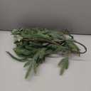 DearHouse Pine Garland Christmas Decoration, Artificial Greenery Garland Norfolk Pine Leaves and Eucalyptus for Holiday Season Mantel Fireplace Table Runner Centerpiece (Pine Garland with Eucalyptus)