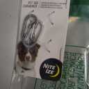 Nite IZE MicroLink Pet Tag Carabiner, Stainless Steel Cat and Dog Tag Clip, 2 Count (Pack of 1)
