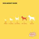 2 x Little Loyals Himalayan Recipe Cheese Dog Chews - 100% Natural, Long-Lasting Treats for Aggressive Chewers, Puppies & Bored Dogs | Odorless, Protein-Rich, Gluten & Lactose-Free (L-Large) (5.6 Ounce (Pack of 1))