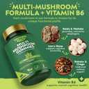 Multi Mushroom Gummies 6-in-1 with Lions Mane, Reishi, Shiitake & Vitamin B6 - Focus, Energy & Vitality - Vegan & Sugar-Free - 60 Gummies for Kids & Adults