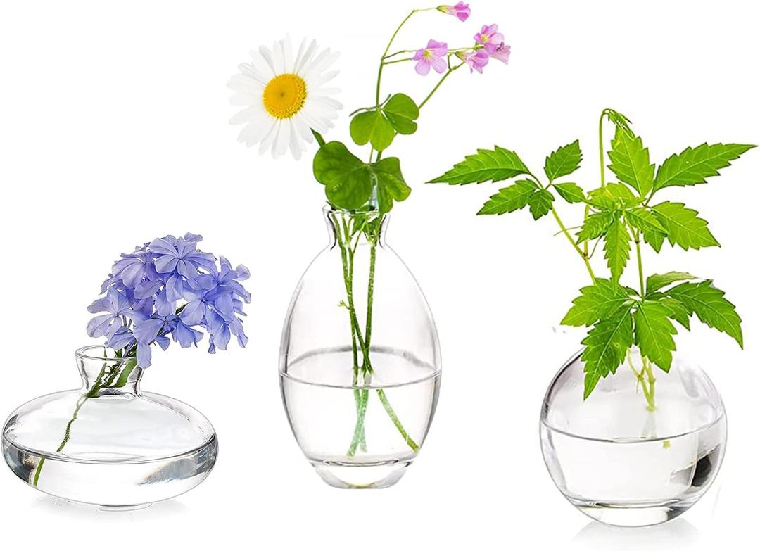 Glass Bud Vases Set of 3, Hewory Cute Clear Small Vases Handmade, Mini Glass Flower Vase for Floral Arrangement, Tiny Centerpiece for Wedding Party Events Home Office Table Decor (Not Include Flower)