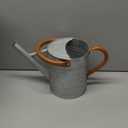 Metal Watering Can, One Gallon Watering Cans Stainless Steel for Outdoor Indoor Garden Plants Watering (Zinc 1 Gallon)