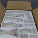 Zayton Nativity Set Christmas Indoor 11 Pcs 5 Inch Scene Statue Figurines Jesus Manger Crib Ornament Church Xmas Home Catholic Religious Decoration