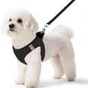 Pet Harness No Pull for Small Dogs and Cats, Adjustable Hook & Loop Fastener with Snap Buckle and Double D-Rings, 0.55FIT Breathable Mesh, Black, S