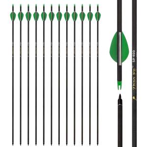 29 Inch Carbon Arrow Practice Hunting Arrows Spine 400 with Removable Tips for Archery Compound & Recurve & Traditional Bow (12 Pcs)