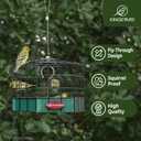 Kingsyard Squirrel Proof Platform Bird Feeders for Outdoor Hanging, 10" Wide Metal Caged Bird Feeder for Small Wildbirds Finches, Recycled Plastic Feeding Platform with Metal Seed Tray, Green