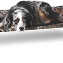 K&H Pet Products Outdoor Elevated Dog Cot, Breathable Cooling Elevated Cot Hammock Pet Bed for Medium Dogs, Washable Mesh Cover, Raised Metal Frame, Collapsible, Portable - Medium 32 X 25in Camo