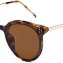 Classic Trendy Round Sunglasses Womens Mens Oversized Large Shades UV400 Vacation Sunnies SJ2068