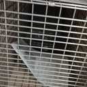 HAVAHART 1079SR Large 1-Door Humane Catch and Release Live Animal Trap Cage - Live Raccoon Trap, for Bobcats, Beavers, Dogs, & More