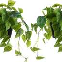 2 Pack Artificial Scindapsus Aureus, Realistic Fake Plants with Plastic Pot for Home Office Bedroom Indoor Outdoor Decor(8in H)