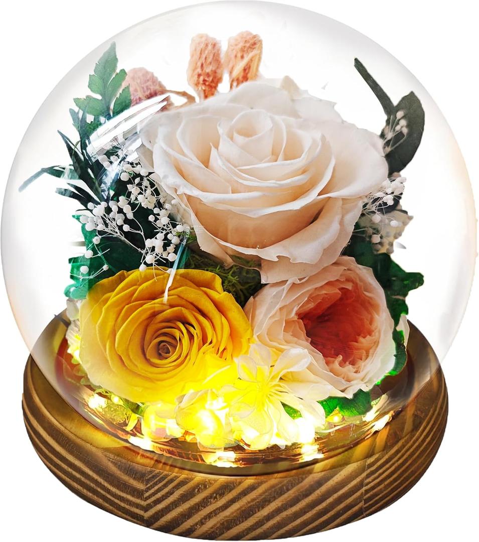 Preserved Real Rose Gifts for Her- Forever Champagne Rose in Glass Dome with LED for Women Mom Girlfriend Grandma Wife Birthday Mother's Day Christmas Valentines Day Gifts